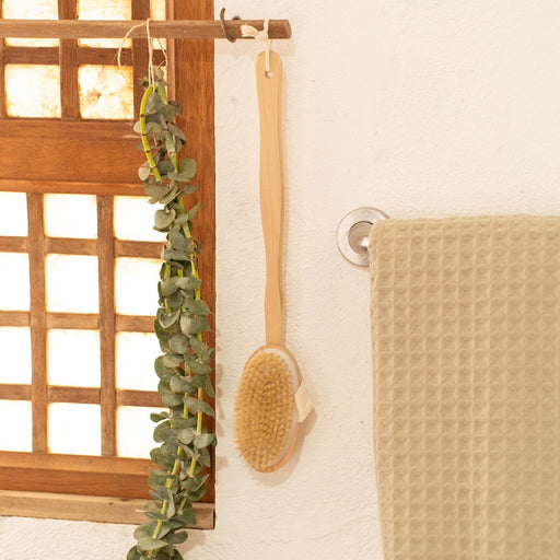 Greta Body Bath Brush – Detachable Handle | Lotus Wood
