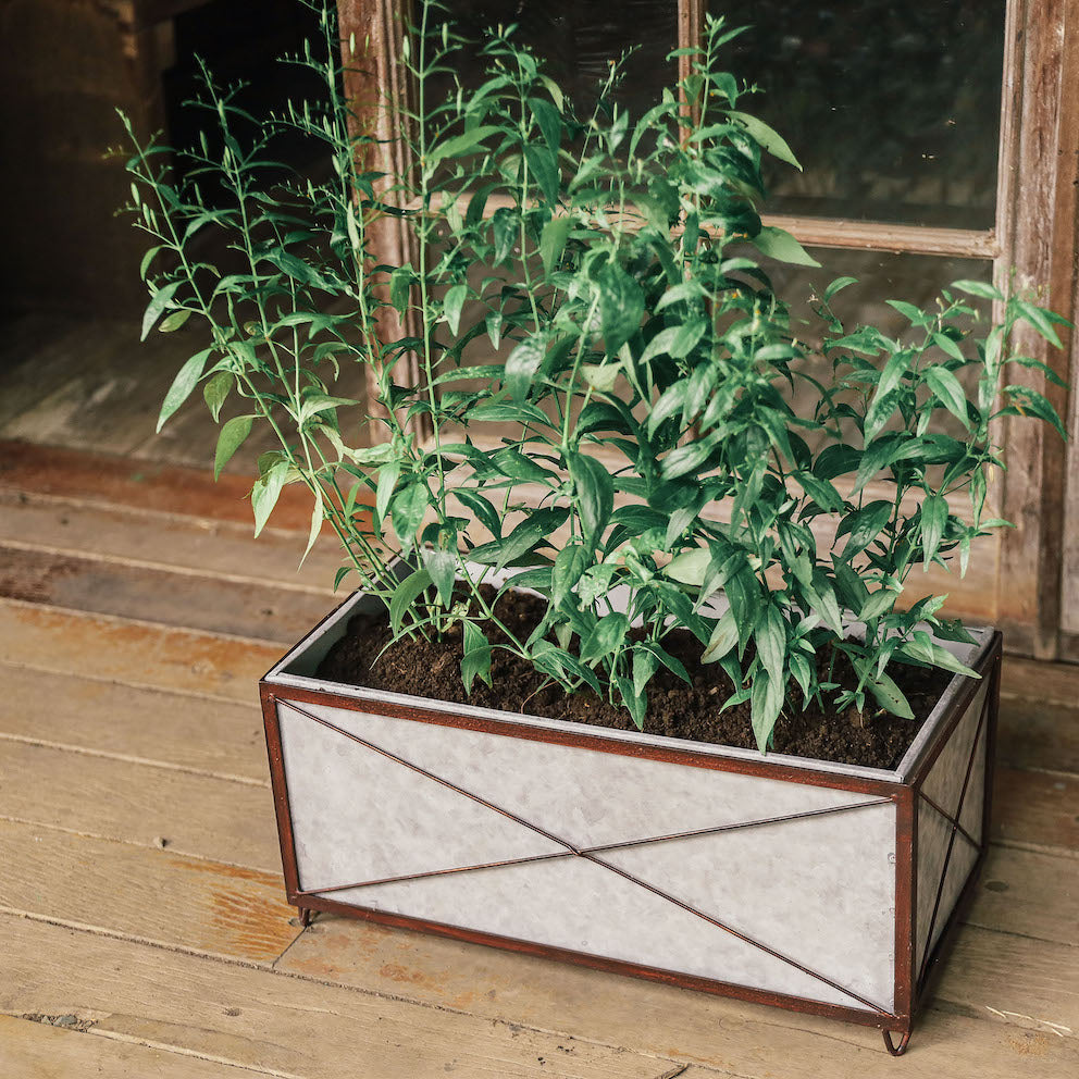 The Kitma Garden Planter Box ( Domesticity X Hindy Weber )