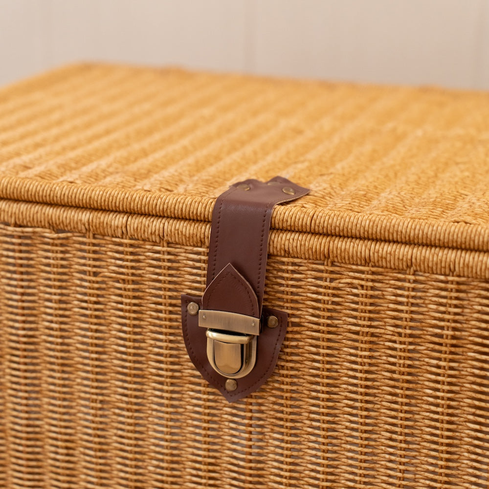 Patrice Handwoven Chest with Snap Lock